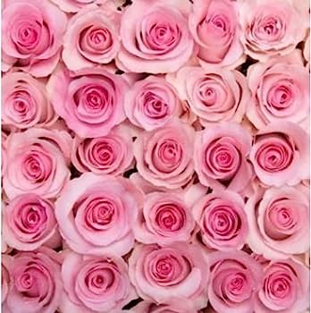 FLORAL FRUTAL